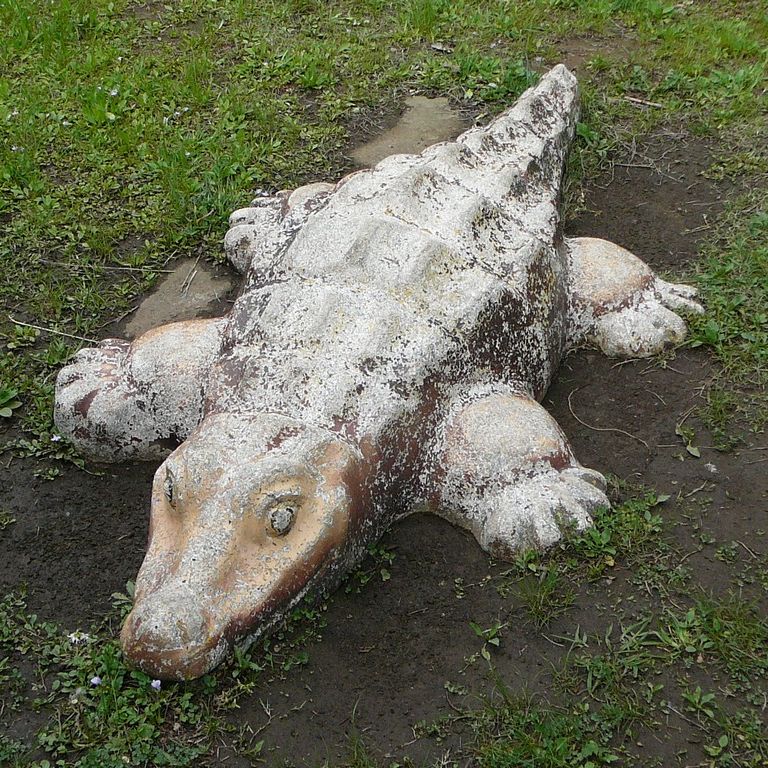 ʌ܎sEEj - ̑ - ʐ^f - ݃{