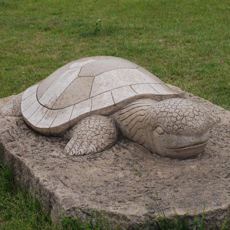 ʌsEcn - ̑ - ʐ^f - ݃{