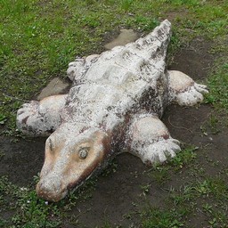ワニ