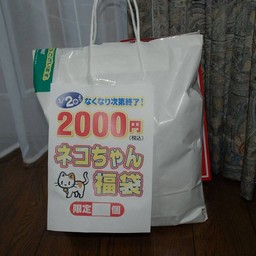 猫の福袋