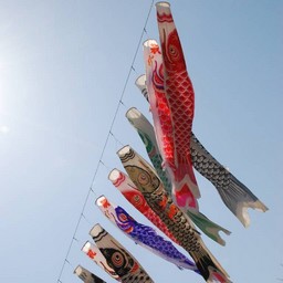 鯉のぼり