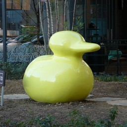 アヒル