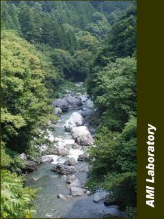 奥多摩町多摩川