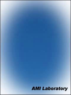 沖縄便の空