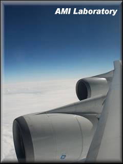 沖縄便の空