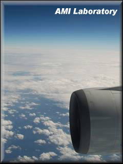沖縄便の空