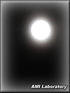 越谷市・夜の月