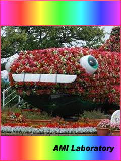 沖縄県 沖縄記念公園