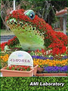 沖縄県 沖縄記念公園
