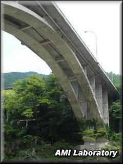 青梅市・多摩川