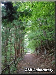 群馬県・吹割の滝
