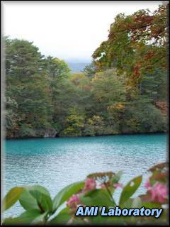 北塩原村 五色沼