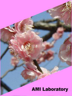 梅