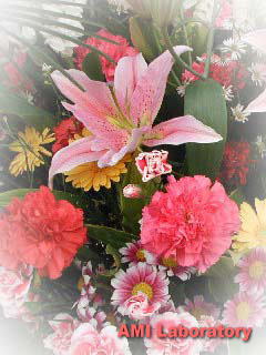 花束