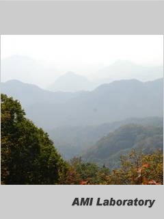 長野県軽井沢町
