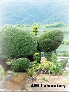 山梨市