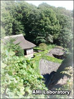 川崎市・生田緑地