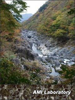日光市・龍王峡