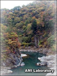 日光市・龍王峡