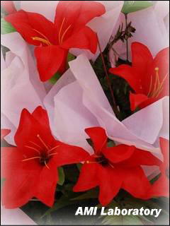 花束