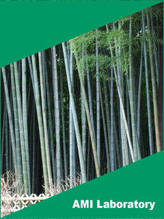 竹林
