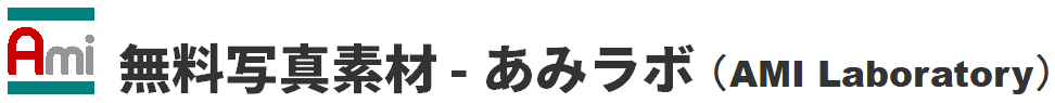 ʐ^f - ݃{iAMI Laboratoryj